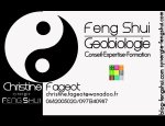 CHRISTINE FAGEOT -SYNERGIE FENG-SHUI 34490
