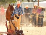 AMERICAN HORSE RIDING ACADEMY Goulet