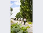 CENTRE EQUESTRE UCPA DU CHESNOY ASSOC UCPA SPO Amilly