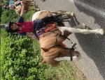 POLE HIPPIQUE DE L'ETOILE Chabeuil