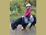 PONEY CLUB ET CENTRE EQUESTRE DES MESNULS 78490