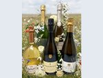 WINE NOTE Puget-sur-Argens