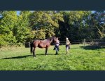 TOURNON AUTOUR DU CHEVAL A TOURNON D'AGENAIS Tournon-d'Agenais