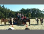 Photo CENTRE EQUESTRE DES GRANDS PINS
