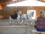 Photo CENTRE EQUESTRE DES GRANDS PINS