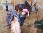 CENTRE EQUESTRE DES GRANDS PINS Plouhinec