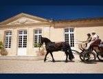 CHATEAU DESMIRAIL 33460