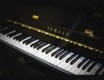 Photo AGNÈS PIANO SERVICES