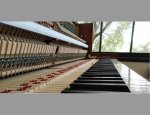AGNÈS PIANO SERVICES Toulon