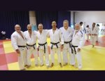 CARROS JUDO Carros