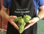 CHAMPAGNE PIERRE GIMONNET ET FILS 51530