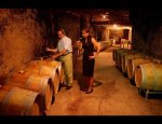 SCODEX WINES 33330