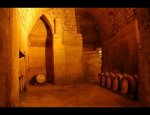 SCODEX WINES Saint-Émilion