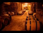 Photo SCODEX WINES