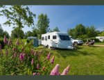 CAMPING CARAVANING DU DOMAINE DE L'ETANG Brissac-Quincé