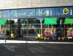 FLEURS D AHES 29270