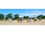 CENTRE EQUESTRE DE LA COTE DE JADE Saint-Père-en-Retz
