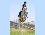 Photo FERME EQUESTRE ET PEDAGOGIQUE