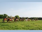 Photo KENTUCKY RANCH