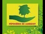 77540 Lumigny-Nesles-Ormeaux