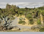 TROPICAL FLORAL PARK Saint-Jacut-les-Pins