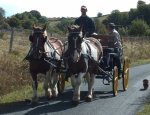 FERME EQUESTRE DES MONTS D'AUBRAC. GITE D'ETAPE ET DE SEJOUR- CENTRE EQUESTRE- PONEY-CLUB 48260