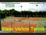 STADE VERTOIS TENNIS Vert-le-Petit