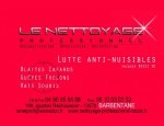 Photo LE NETTOYAGE PROFESSIONNEL