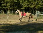 CENTRE EQUESTRE DES POURCAUDS Saint-Méard-de-Gurçon