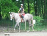 Photo CENTRE EQUESTRE DES POURCAUDS