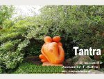 JARDIN INTERIEUR 26800