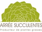 ARREE SUCCULENTES 22210