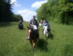 CENTRE EQUESTRE/PONEY CLUB LA LICORNE DE LA FONTAINE Bonnelles