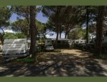 Photo CAMPING LES PINS-LE CONGO