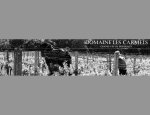 DOMAINE LES CARMELS 33550