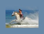 Photo CENTRE EQUESTRE MARINA ET CES  CHAMBRES D'HÔTES