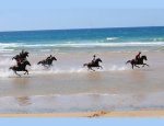 Photo CENTRE EQUESTRE MARINA ET CES  CHAMBRES D'HÔTES