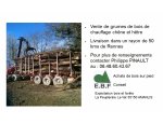 Photo E.B.F. EXPLOITATION BOIS  ET FORETS
