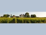 CHATEAU DE LA ROCHE 37190
