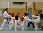 Photo VAILLANTE KARATE