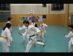 Photo VAILLANTE KARATE