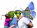 LA CITE DES INSECTES - CREATIVE INSPIRE 87120