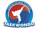 KWANG MYUNG DOJANG NANTES 44000