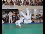 Photo L'AVENIR SPORTIF DE CHANCEAUX SECTION JUDO