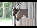 CENTRE EQUESTRE DES MANNESARTS / AFEIPH 08500