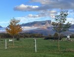 DOMAINE EQUESTRE DU POET 05300