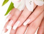 CYBEL ONGLE 77310