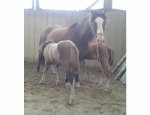 76170 Touffreville-la-Cable