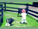 CENTRE EQUESTRE ET FERME PEDAGOGIQUE  DES DROOPS Touffreville-la-Cable