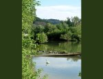 Photo CENTRE D'OBSERVATION DE LA NATURE DE L'ÎLE DU BEURRE